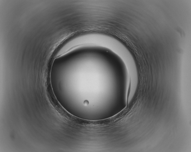 X0000113120444200909181652