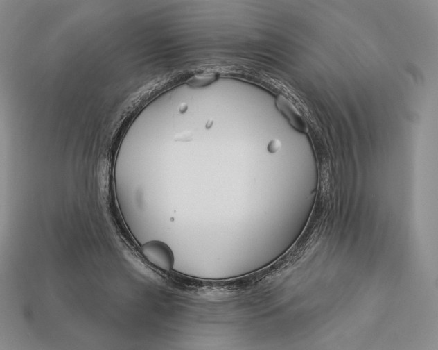 X0000113120445200909181652