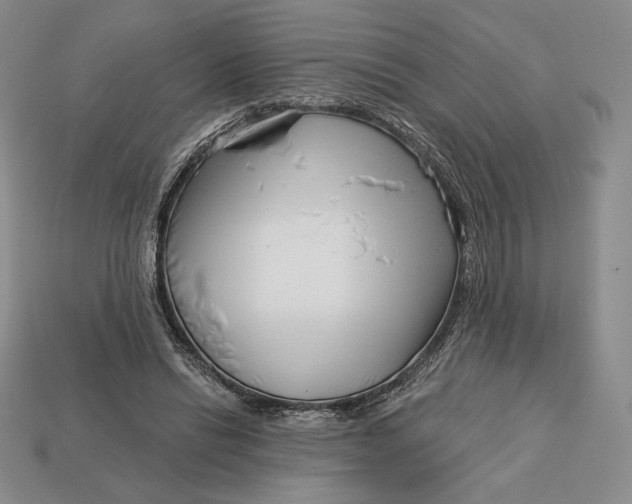 X0000113120446200909181652