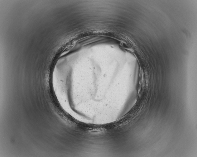 X0000113120447200909181652