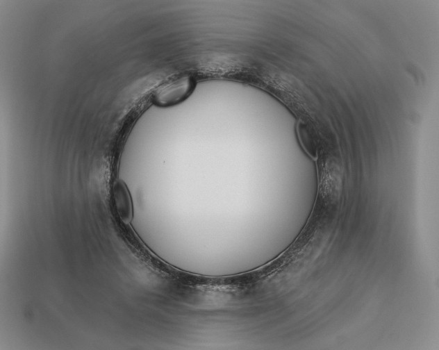 X0000113120448200909181652