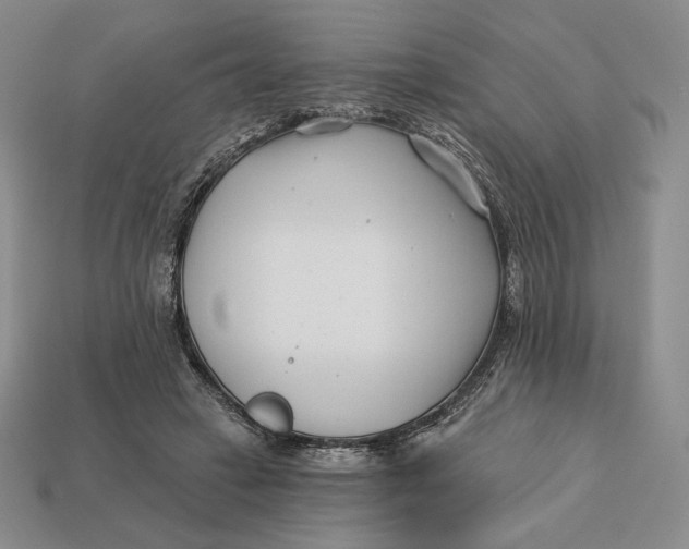 X0000113120449200909181652