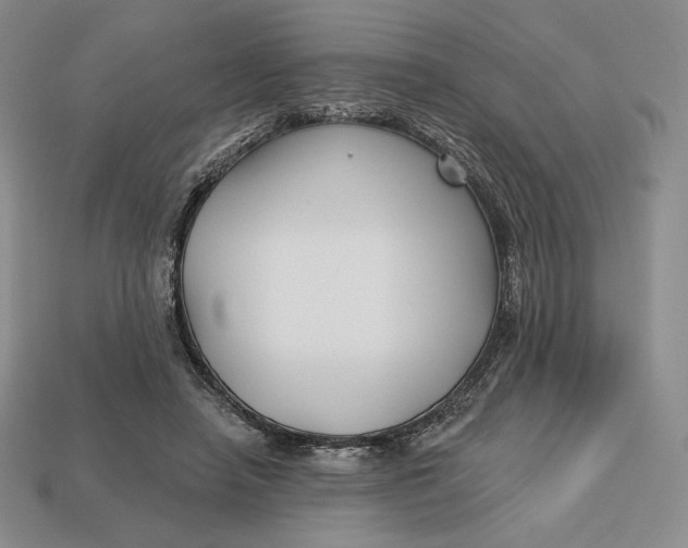 X0000113120450200909181652