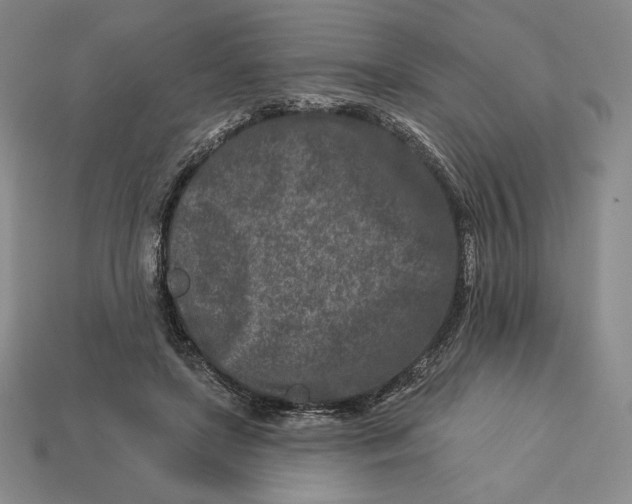 X0000113120451200909181652