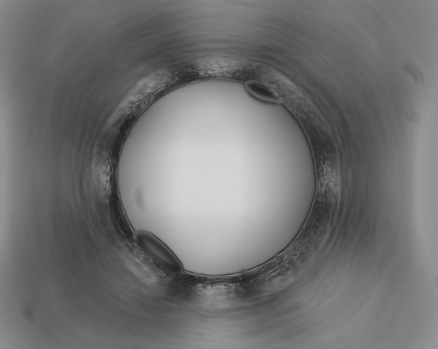 X0000113120452200909181652