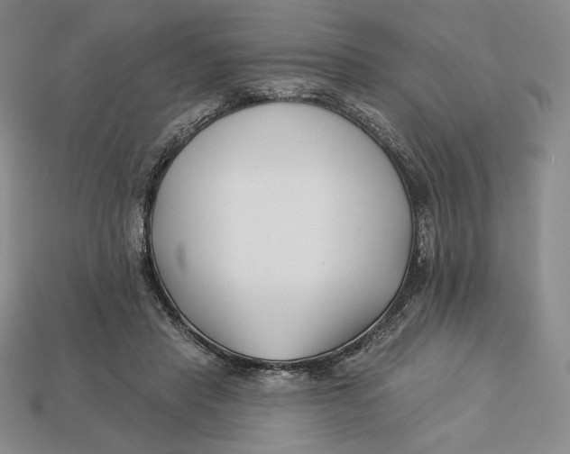 X0000113120453200909181652