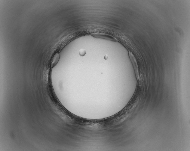 X0000113120454200909181652