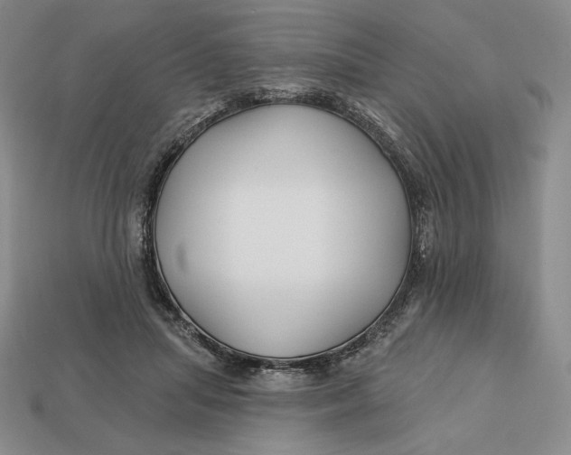 X0000113120455200909181652