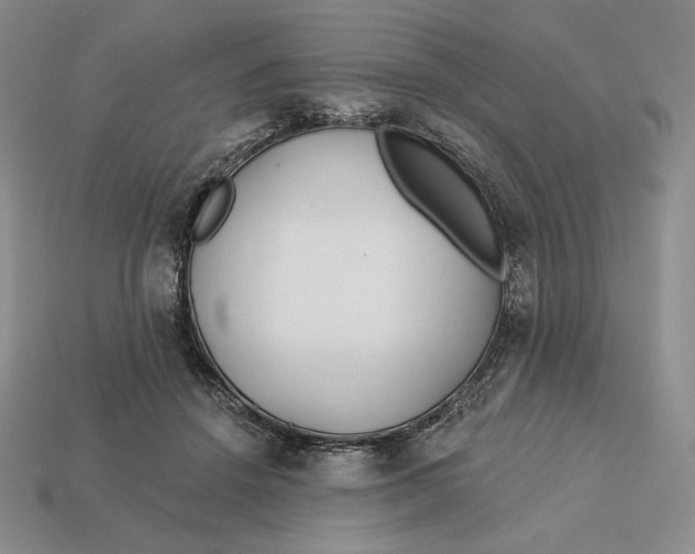 X0000113120456200909181652