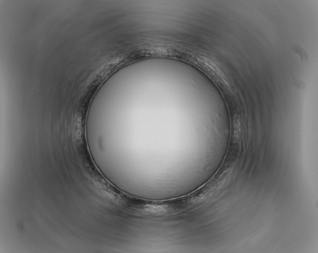 X0000113120457200909181652