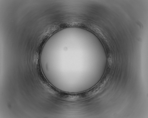 X0000113120458200909181652