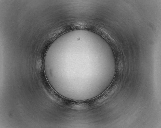 X0000113120459200909181652