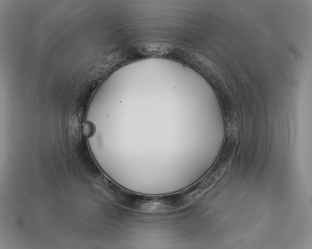 X0000113120460200909181652