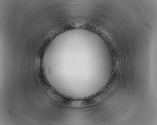 X0000113120461200909181652