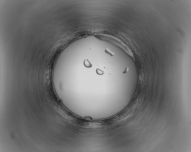 X0000113120462200909181652