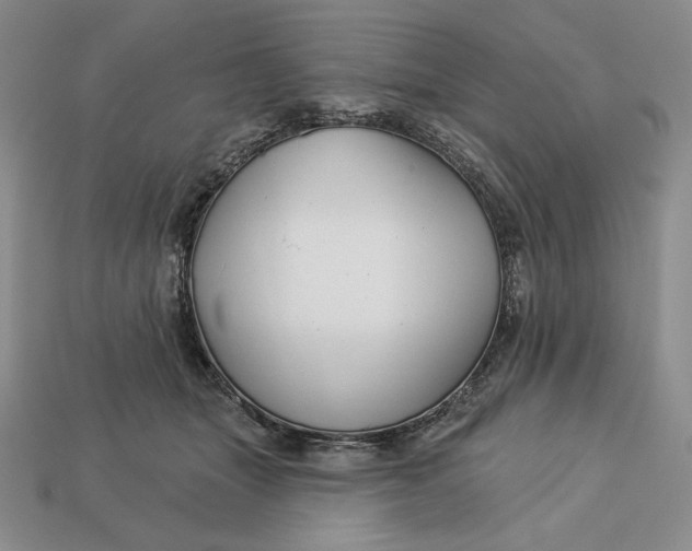 X0000113120463200909181652