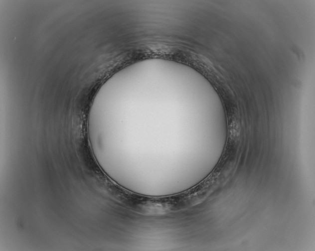 X0000113120464200909181652