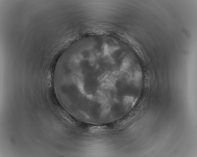 X0000113120465200909181652