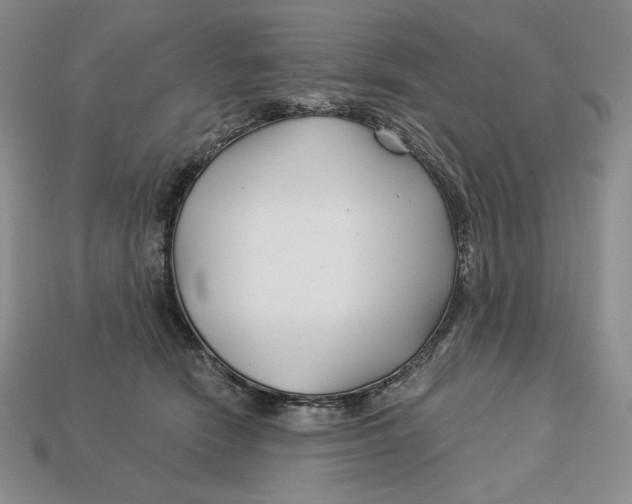 X0000113120466200909181652