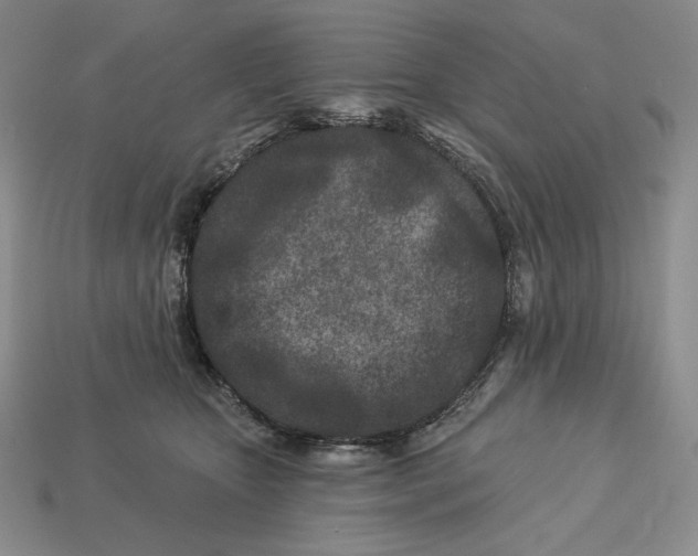 X0000113120467200909181652