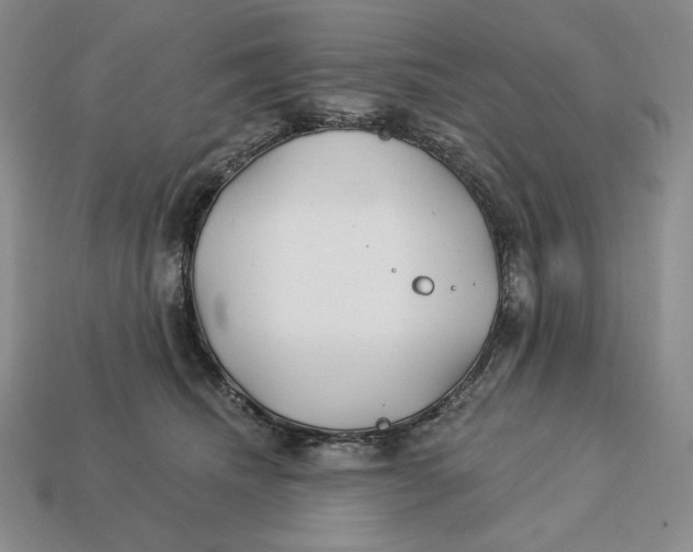 X0000113120468200909181652