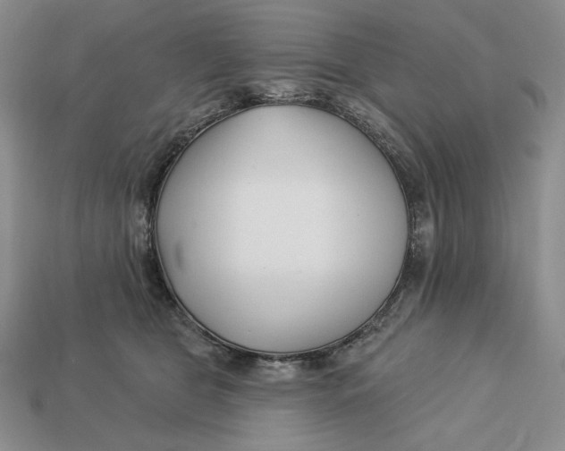 X0000113120469200909181652