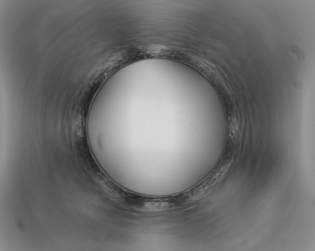 X0000113120470200909181652