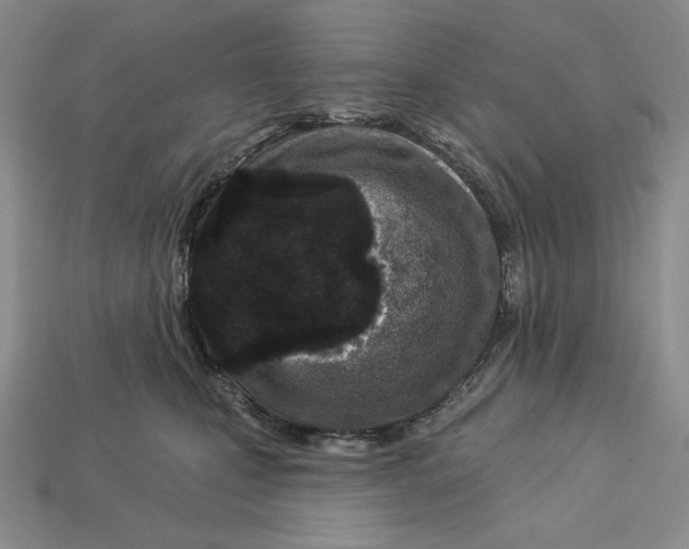 X0000113120471200909181652