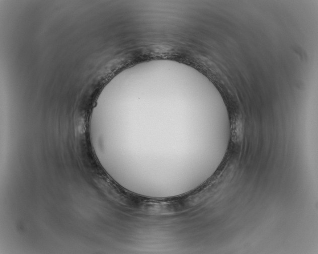 X0000113120472200909181652