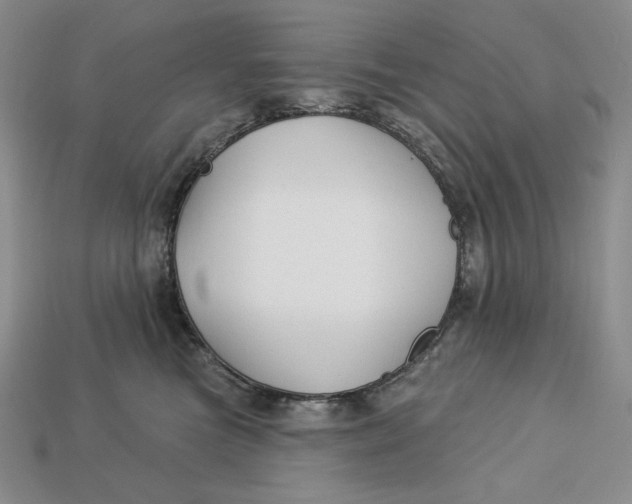 X0000113120473200909181652