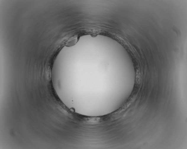 X0000113120474200909181652