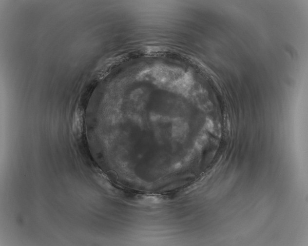 X0000113120475200909181652