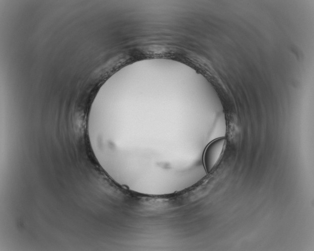 X0000113120476200909181652