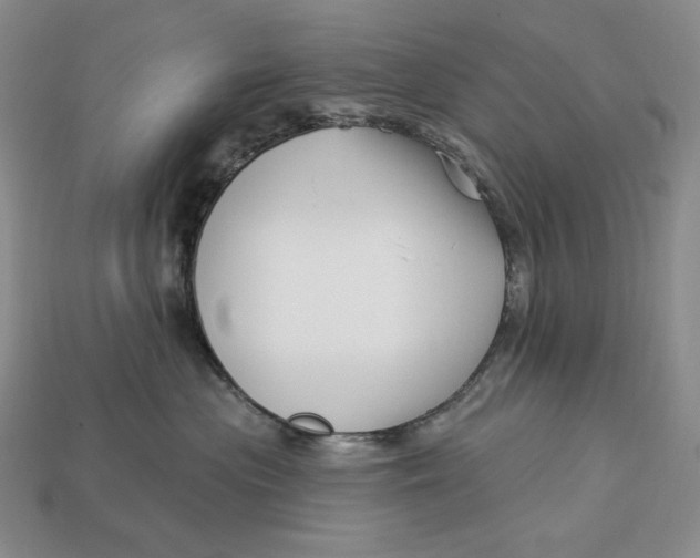 X0000113120477200909181652