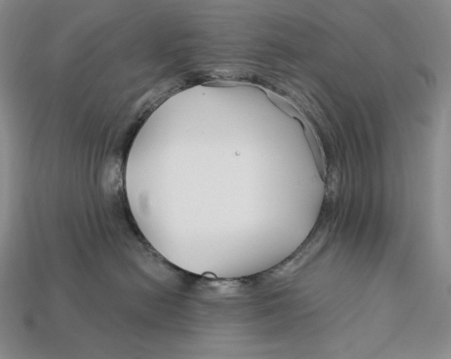 X0000113120478200909181652