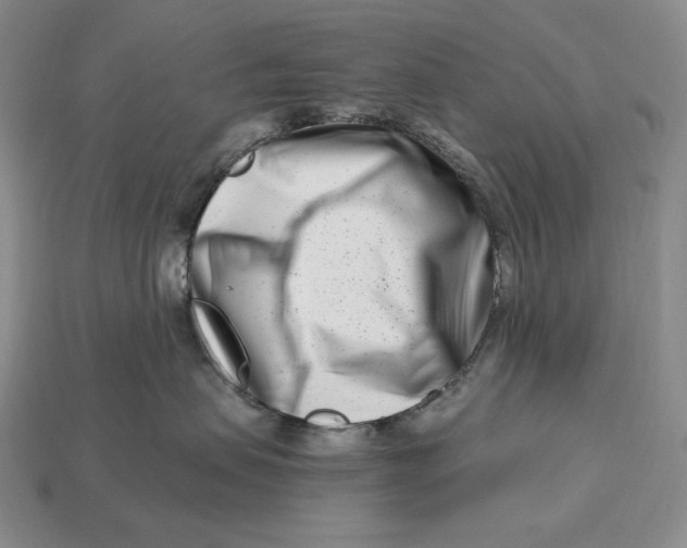 X0000113120479200909181652