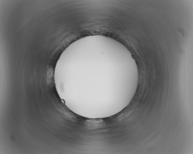 X0000113120480200909181652