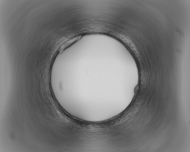 X0000113120481200909181651