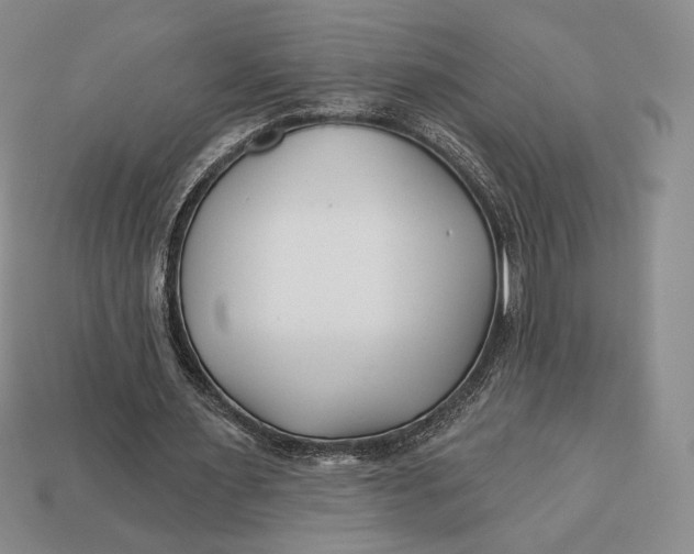 X0000113120483200909181651