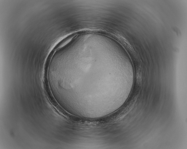 X0000113120484200909181651