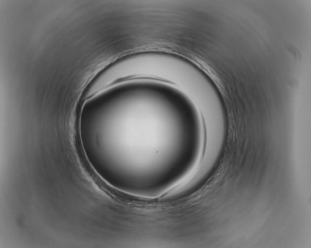 X0000113120485200909181651