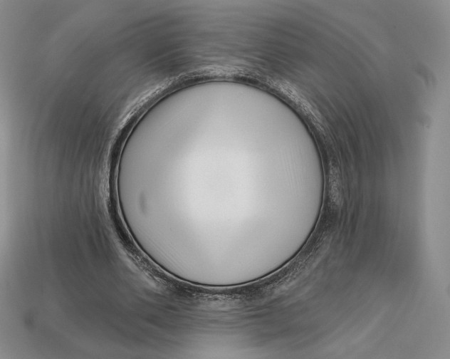 X0000113120486200909181651