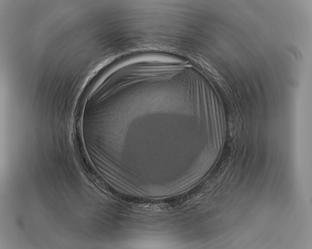 X0000113120488200909181651