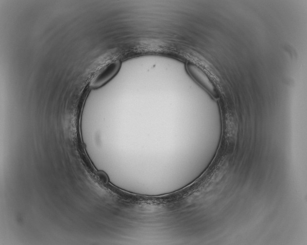 X0000113120489200909181651