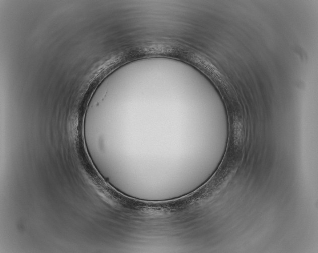 X0000113120490200909181651