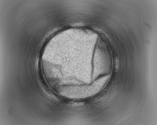 X0000113120491200909181651