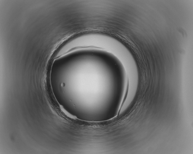 X0000113120492200909181651