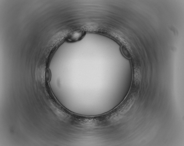 X0000113120493200909181651