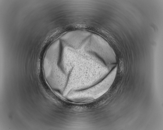 X0000113120494200909181651