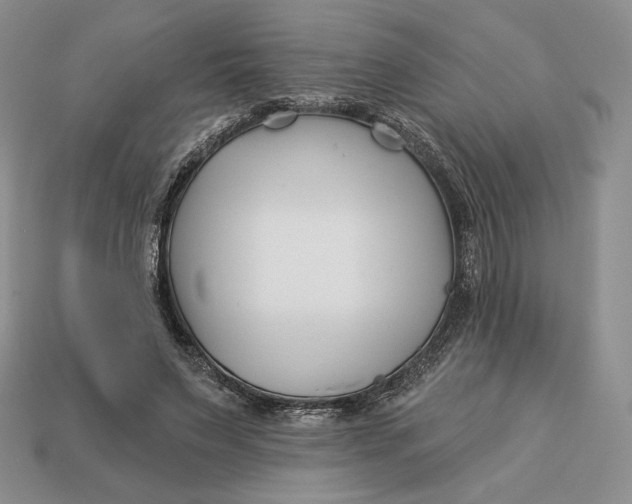 X0000113120495200909181651